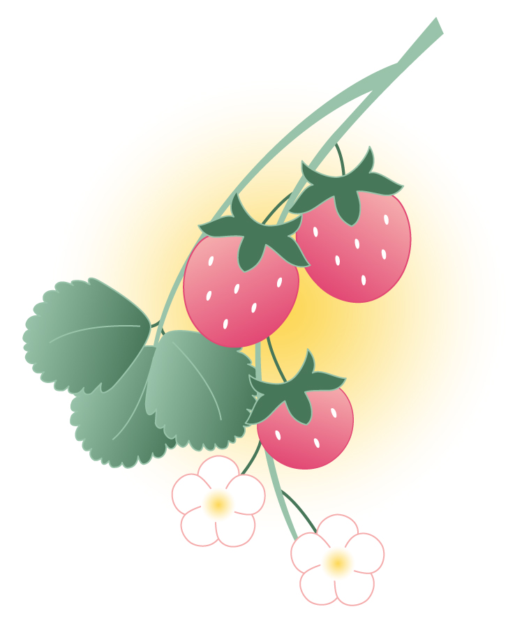 Dainty Strawberry Illustration